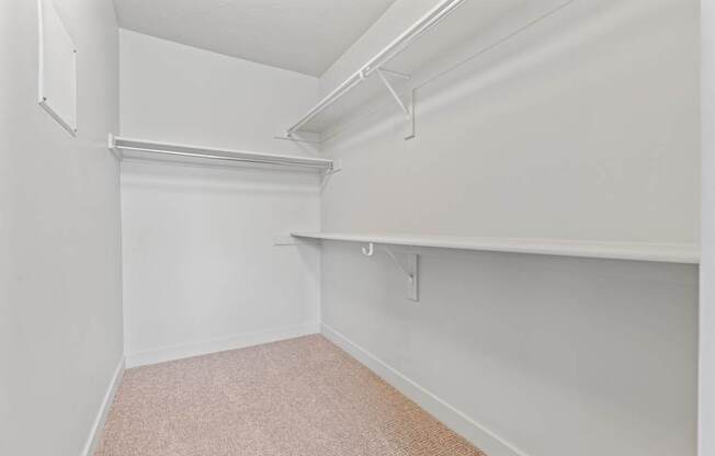 A white closet with a carpeted floor and a white shelf.