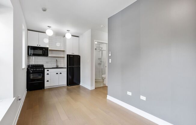Studio, 1 bath, 238 sqft, $1,495, Unit 406