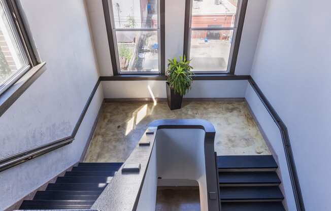 a spiral staircase in a building with large windows and a potted plant