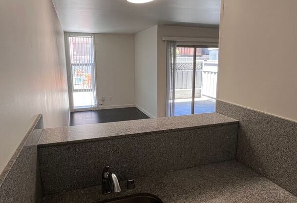 Studio, 1 bath, 250 sqft, $2,095, Unit 111