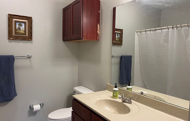 2 beds, 2 baths, $1,950, Unit UNIT 4203