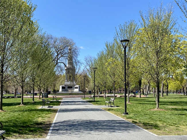 Cambridge Common near Harvard Square