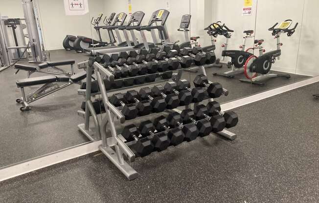 bumbbell weight rack  at 444 Park Apartments, Richmond Heights, OH, 44143