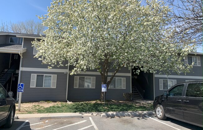 a tree in front of a building