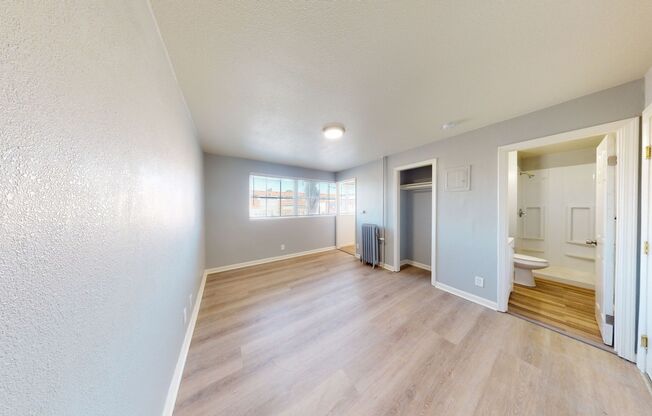 Studio, 1 bath, 277 sqft, $1,395, Unit #120