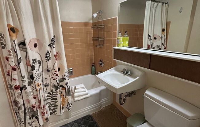 Studio, 1 bath, 423 sqft, $1,175, Unit 214