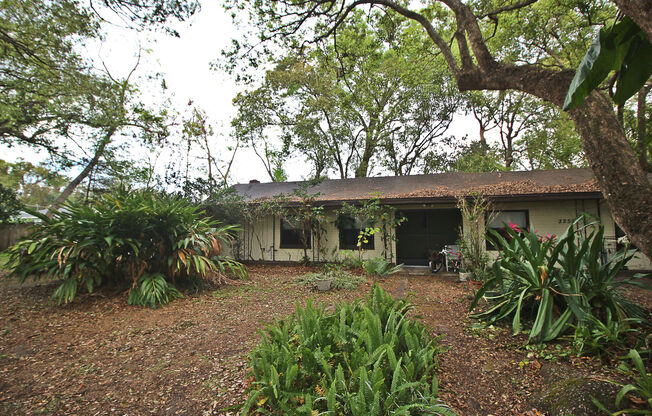 3255 Clemwood Drive #E2 Orlando, FL 32803