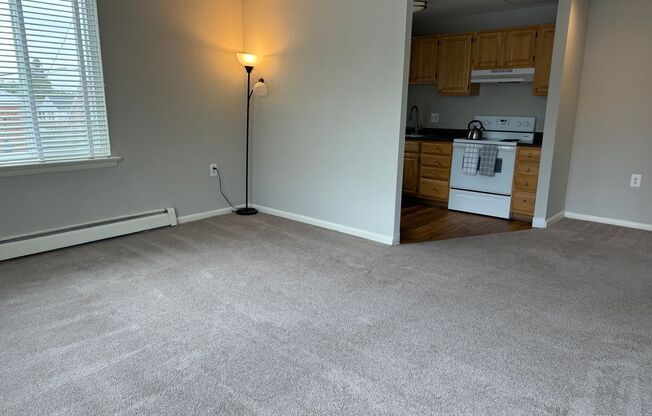 1 bed, 1 bath, 600 sqft, $1,195, Unit 226