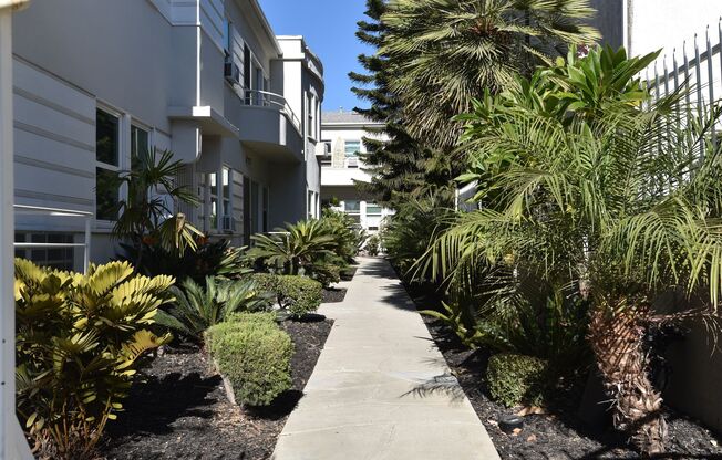 215 W. LOMITA AVE.