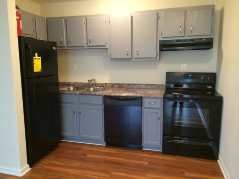 1 bed, 1 bath, 500 sqft, $975, Unit Unit 210