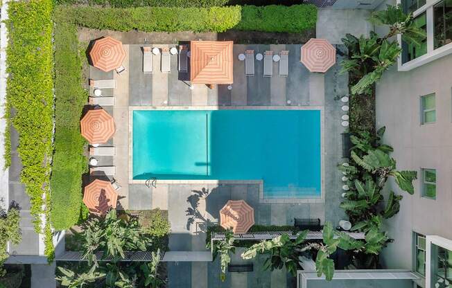 A swimming pool surrounded by greenery and concrete.