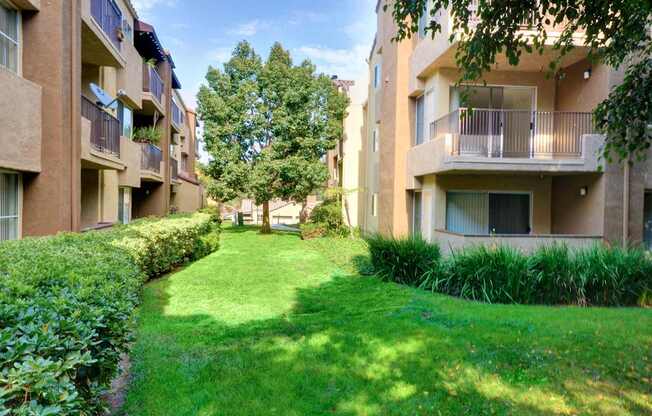 A grassy area in front of apartment buildings.