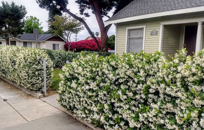 3 Bedroom 1 Bath House with a Large Backyard for Rent in Uptown Whittier