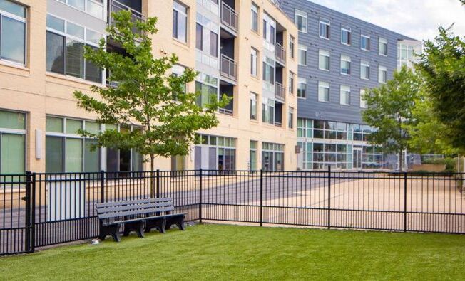 dog-park-The-Fitzgerald