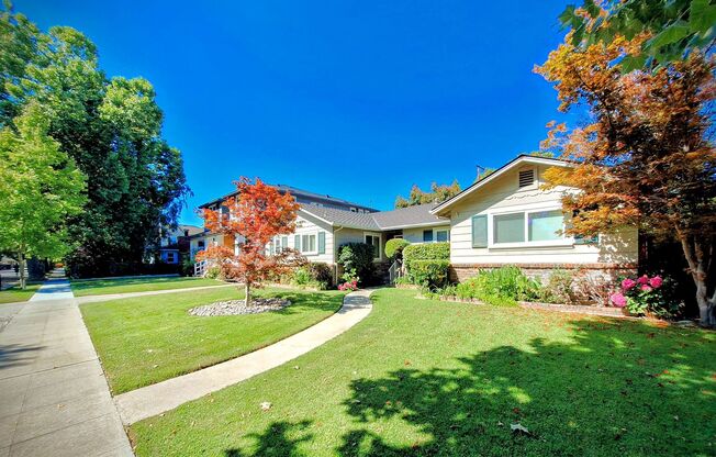 Beautiful 3bd Single Story House on One of the Most Desirable Streets in Willow Glen!