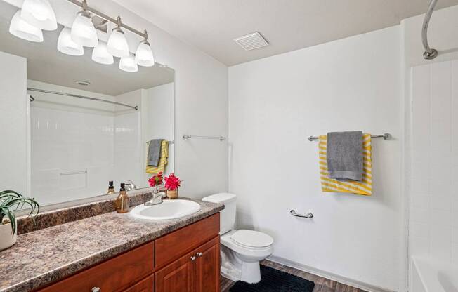A bathroom with a sink, mirror, toilet, and a towel rack.