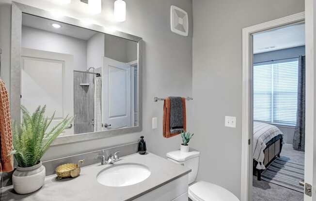 a bathroom with a mirror and a toilet and a sink