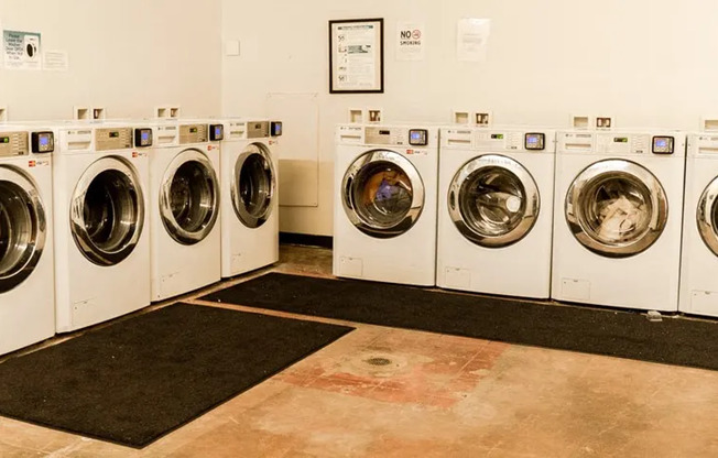 Studio, 1 bath, 240 sqft, $1,150, Unit 218