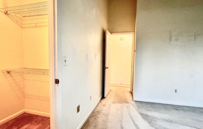 2 beds, 2 baths, $1,775, Unit Apt. 11