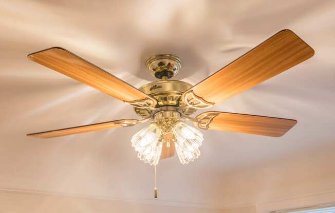 a ceiling fan with a light on it