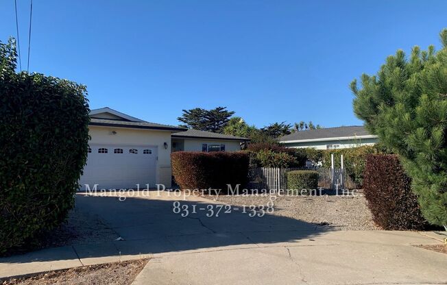 Recently Remodeled Home in Marina Neighborhood with Large Fence Backyard, Fireplace and Garage!