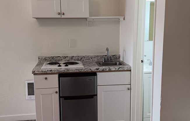 Studio, 1 bath, 350 sqft, $625, Unit 111