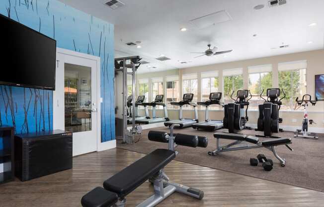 Napa CA Apartments for Rent - Montrachet - Community Fitness Center with Treadmills, Ellipticals, Weights, and TV