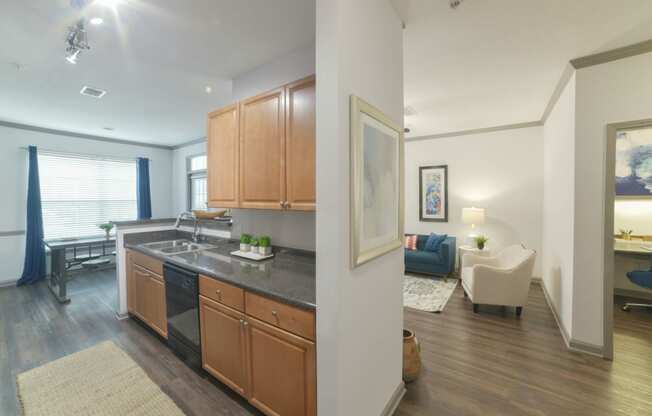 the preserve at ballantyne commons apartment kitchen and living room at The Shallowford, Chattanooga, TN