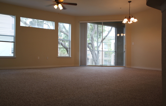 RIVERVIEW: Allegro Palms - Gated Community AVAILABLE OCTOBER 10th!
