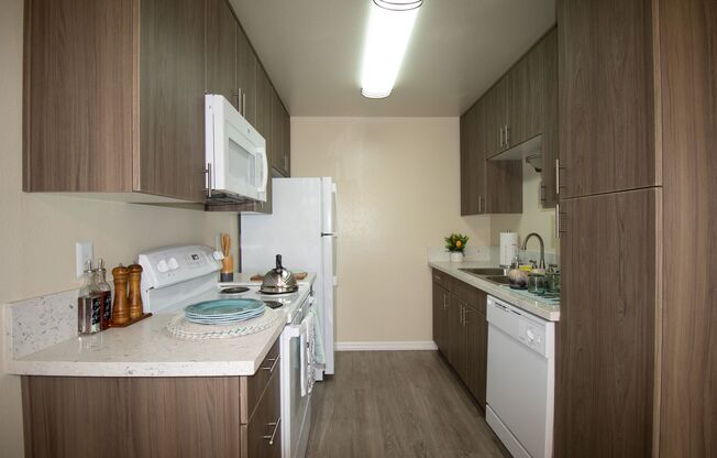 Gold Coast Apartments