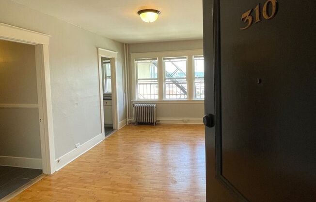 Studio, 1 bath, 404 sqft, $1,095, Unit 310