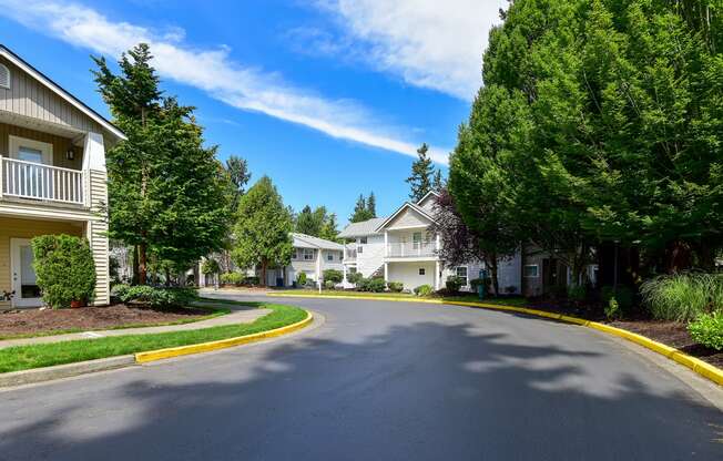 the view of an empty street in a neighborhood with houses and trees