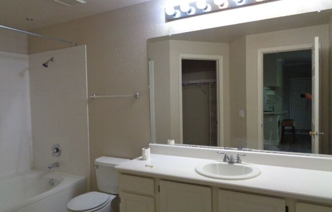 1 bed, 1 bath, $1,199