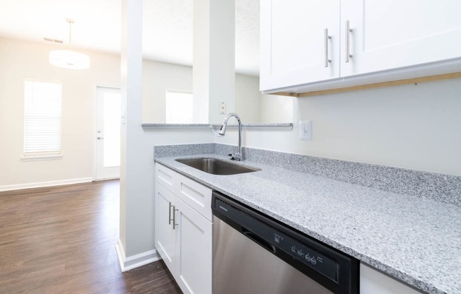 Kitchen Sink at Steeplechase at Shiloh Crossing, Avon, IN, 46123