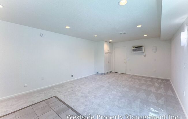 Studio, 1 bath, 267 sqft, $1,750, Unit 107