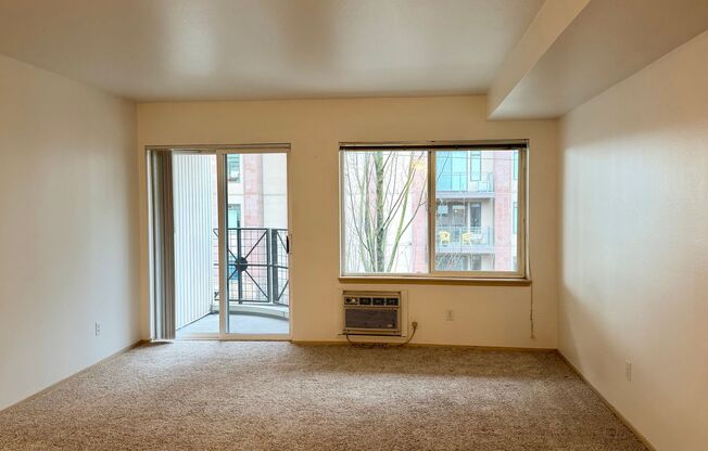 Studio, 1 bath, 483 sqft, $1,450, Unit 308