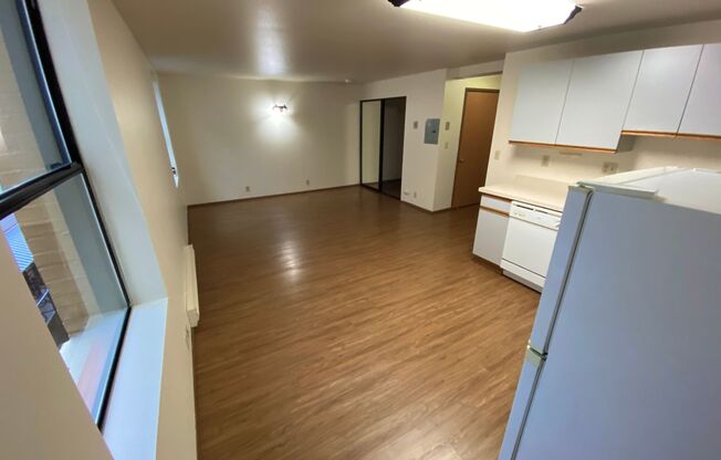 Studio, 1 bath, 413 sqft, $1,295, Unit 316