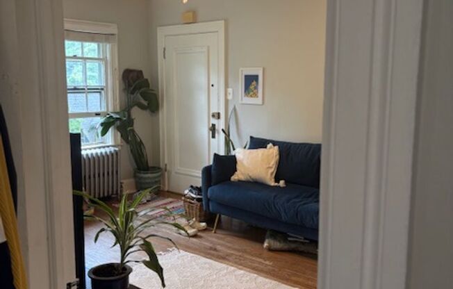54 Elm Ave