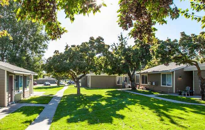 Sunny grass courtyard and pathway lined with trees outside units of building.at Park View Apartments, Wenatchee, WA