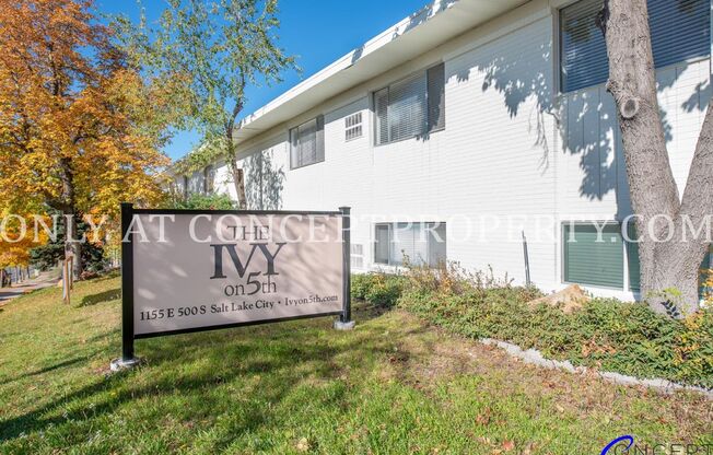 1 bed, 1 bath, 450 sqft, $1,249, Unit 21