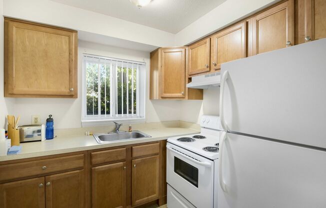 1 bed, 1 bath, 725 sqft, $1,125