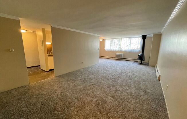 Executive Apartments