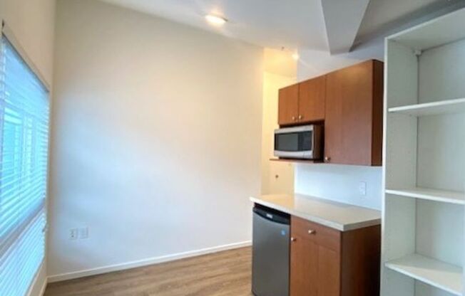 Studio, 1 bath, 175 sqft, $1,195, Unit 4517