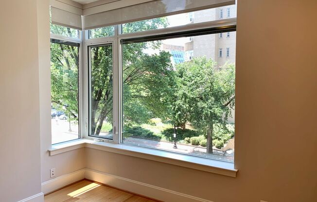 1 bed, 1 bath, $2,650, Unit 302