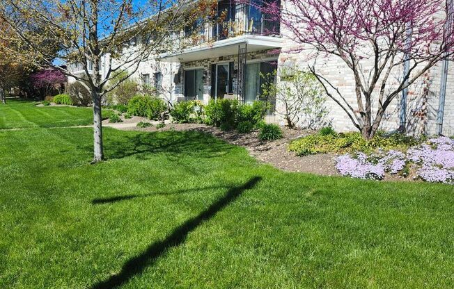 Park Avenue Apartments