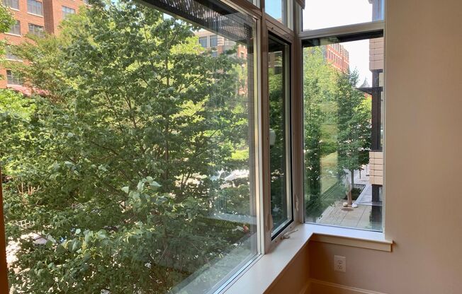 2 beds, 1 bath, $4,250, Unit 209