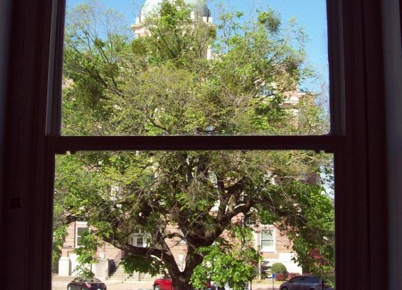 610 Mulberry Street, #1