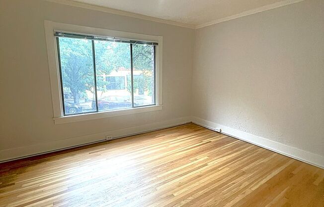 1 bed, 1 bath, 560 sqft, $1,250, Unit 1