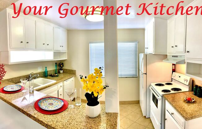 Studio, 1 bath, 585 sqft, $2,095, Unit 220