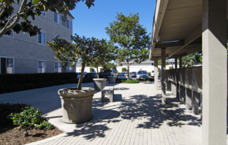 A concrete planter sits on a brick patio.
